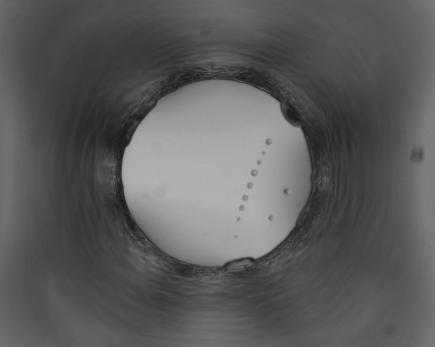X0000089391108200707131713
