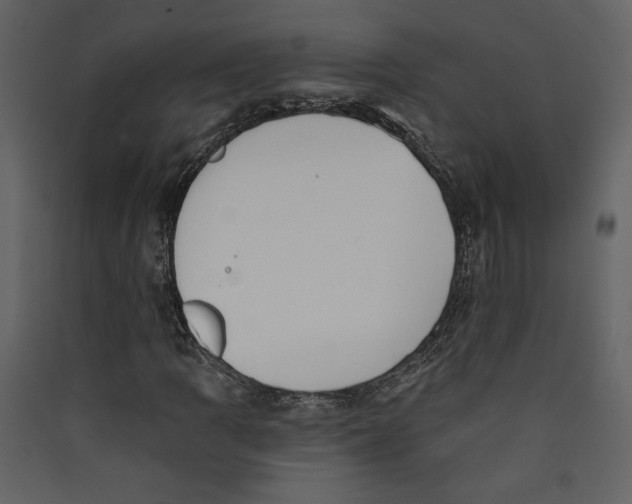 X0000089391109200707131713