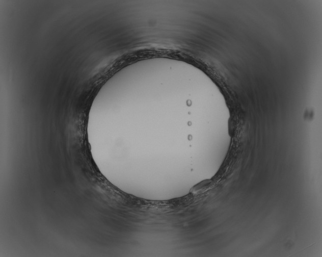 X0000089391110200707131713