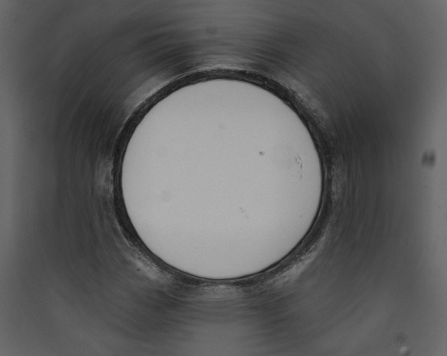 X0000089391113200707131713