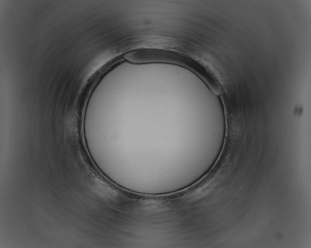 X0000089391114200707131713