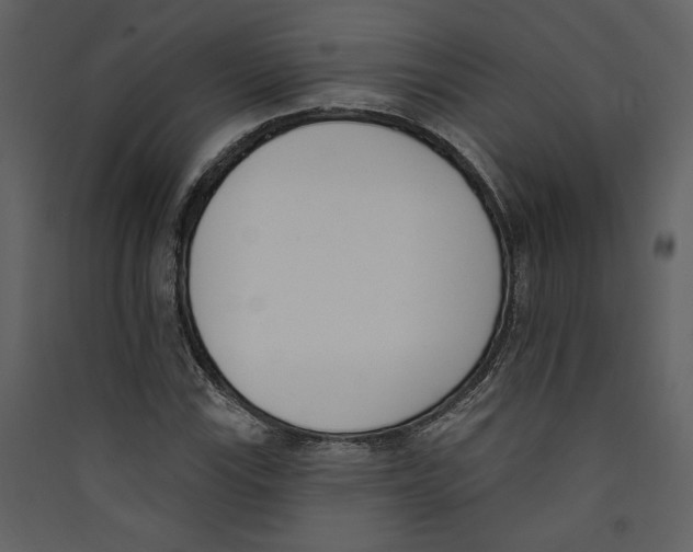 X0000089391115200707131713