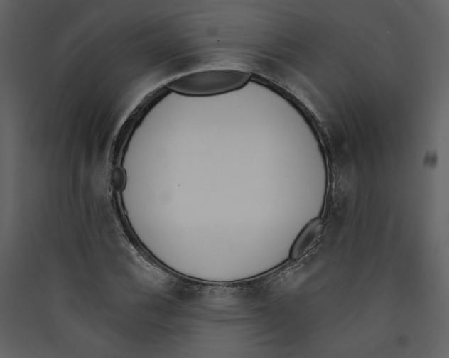 X0000089391116200707131713