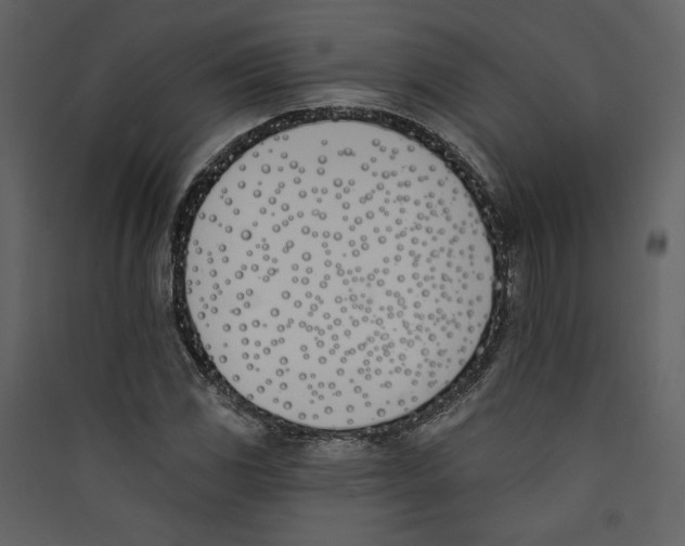 X0000089391117200707131713