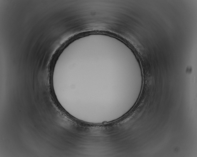 X0000089391118200707131713