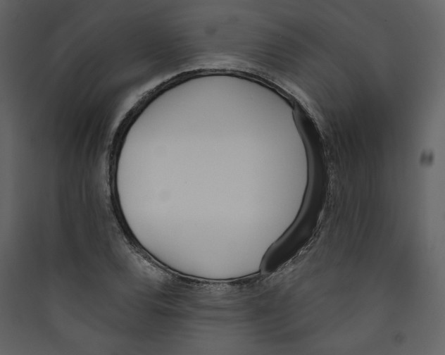 X0000089391120200707131713