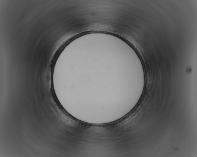 X0000089391123200707131713