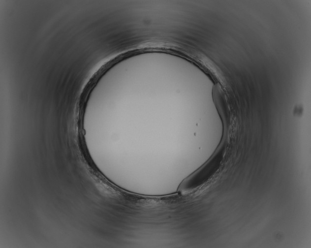 X0000089391124200707131713