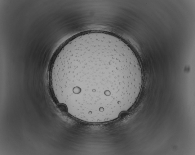 X0000089391125200707131713
