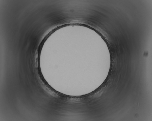X0000089391126200707131713