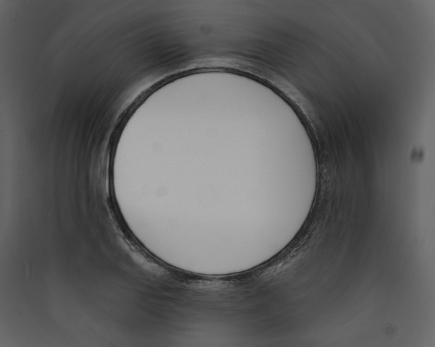 X0000089391127200707131713