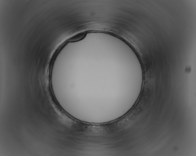 X0000089391128200707131713