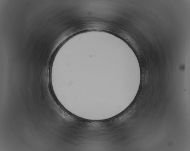 X0000089391130200707131714