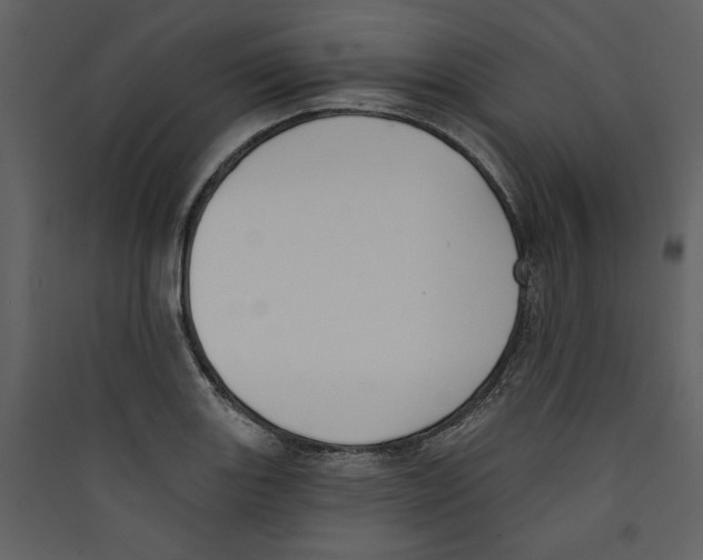 X0000089391131200707131714