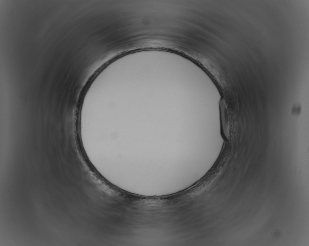 X0000089391134200707131714