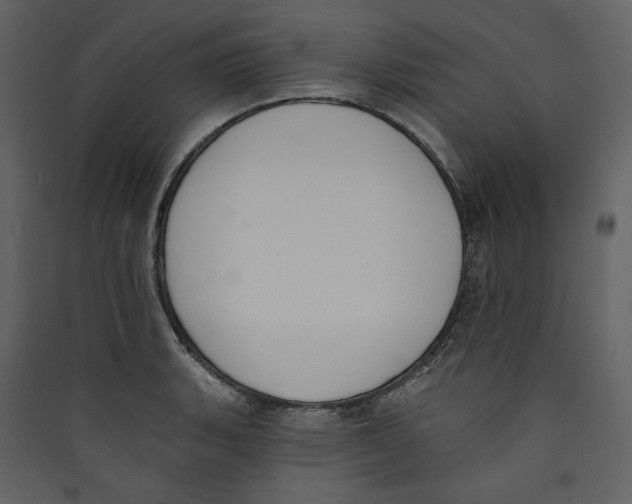 X0000089391135200707131714