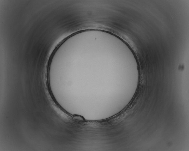 X0000089391136200707131714
