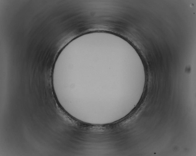 X0000089391137200707131714