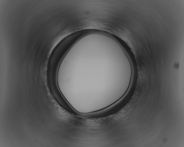 X0000089391138200707131714