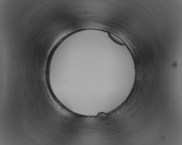 X0000089391139200707131714
