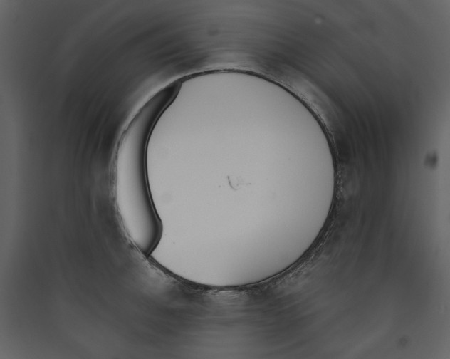 X0000089391140200707131714