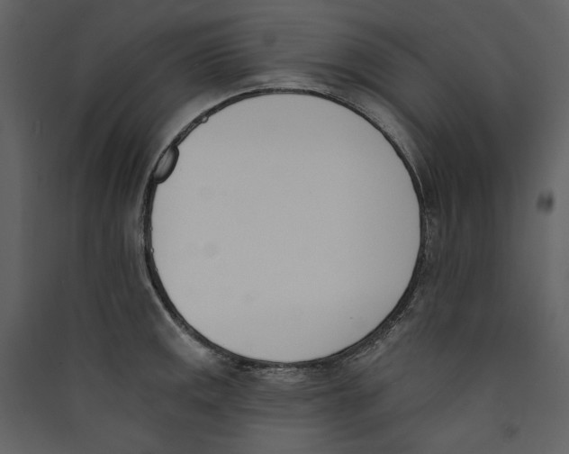 X0000089391141200707131714