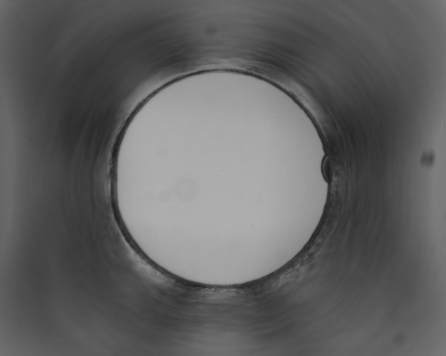 X0000089391143200707131714