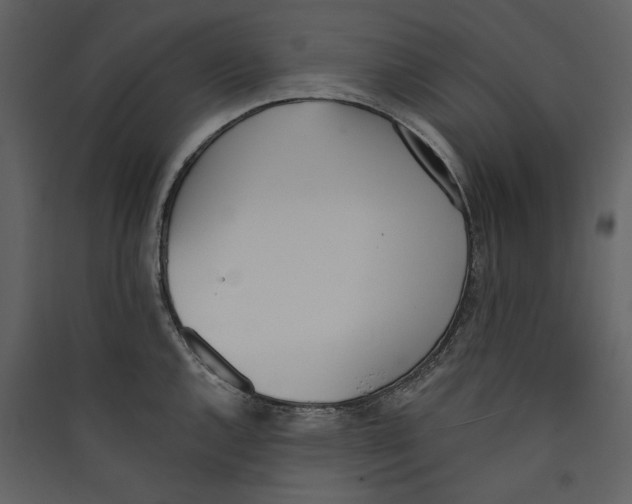 X0000089391144200707131714