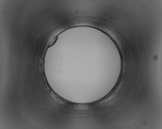 X0000089391145200707131714