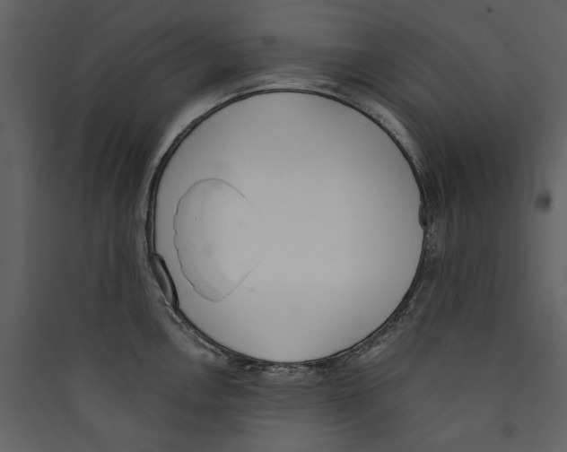 X0000089391146200707131714