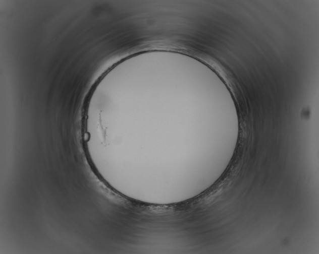 X0000089391147200707131714