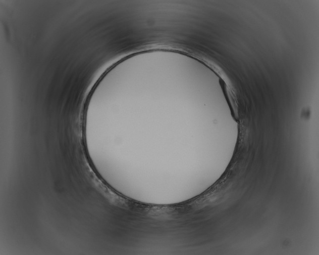 X0000089391148200707131714
