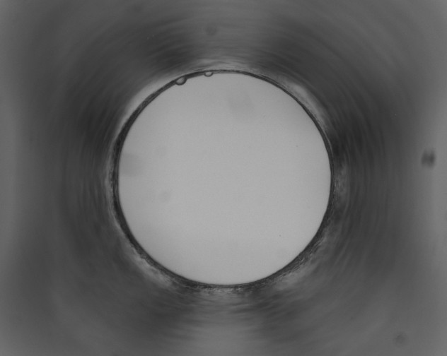 X0000089391149200707131714