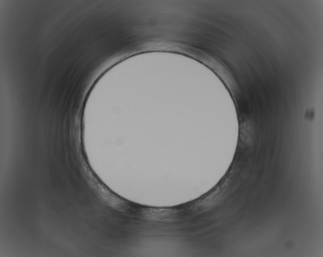X0000089391150200707131714