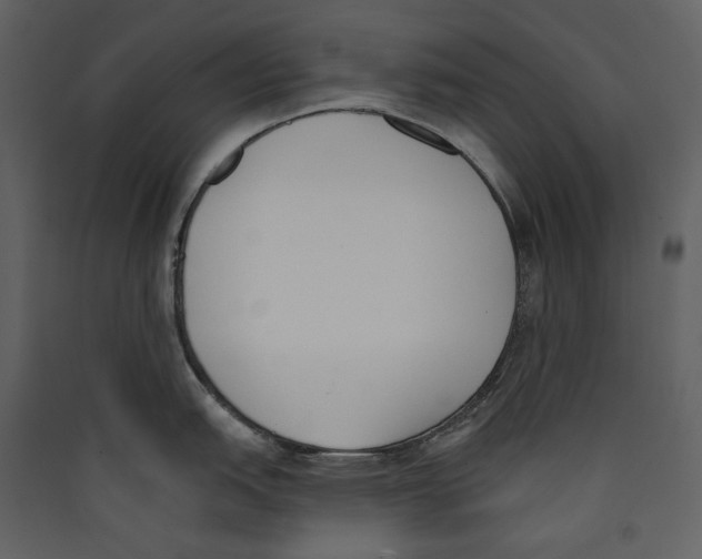 X0000089391151200707131714