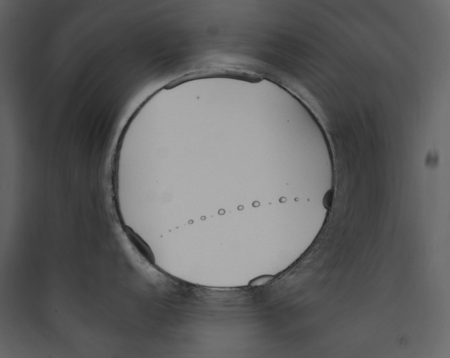 X0000089391152200707131714