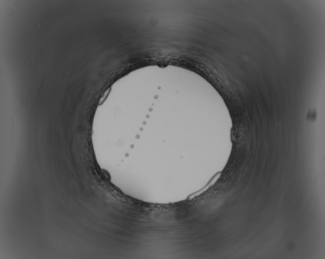 X0000089391153200707131713
