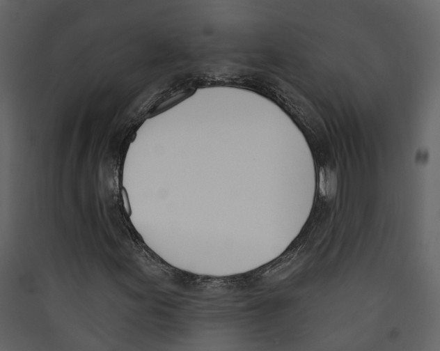 X0000089391155200707131713