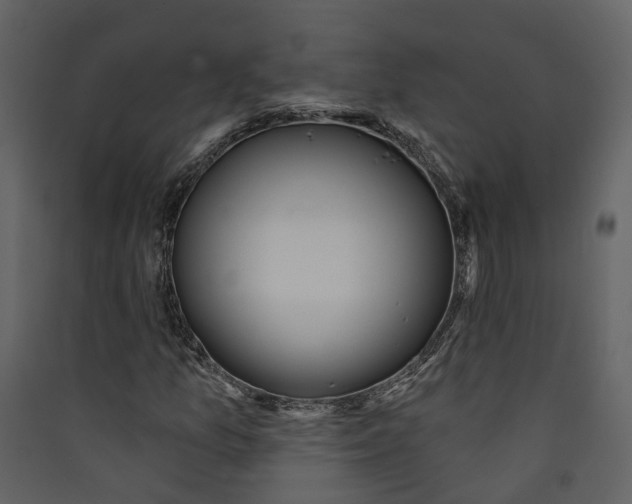 X0000089391157200707131713