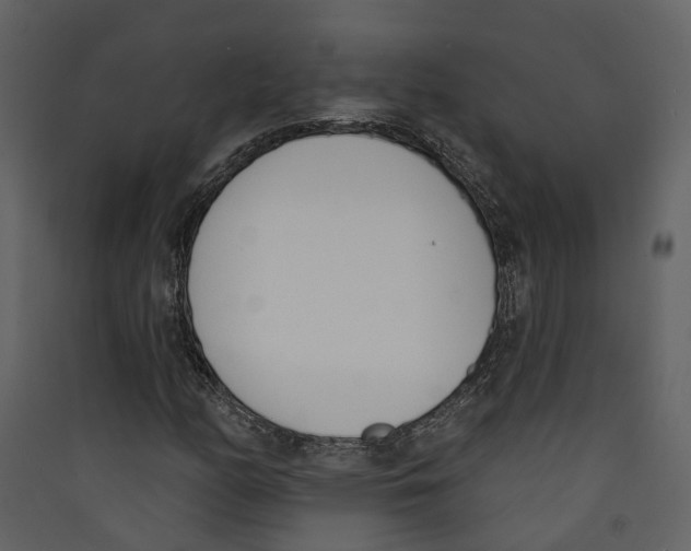 X0000089391158200707131713