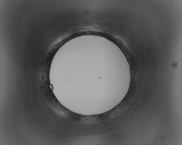 X0000089391159200707131713