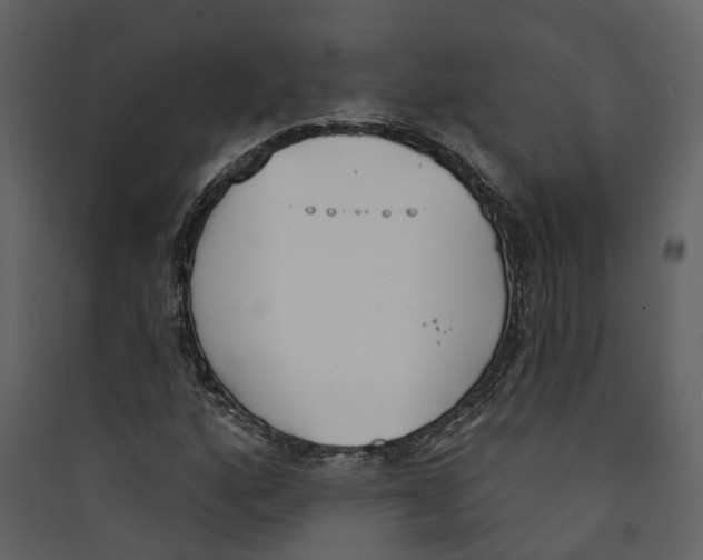 X0000089391160200707131713