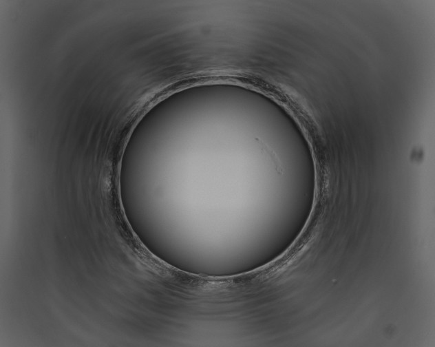X0000089391161200707131713