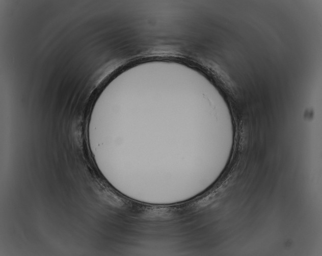 X0000089391162200707131713