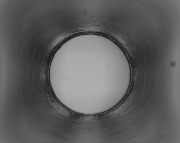 X0000089391163200707131713