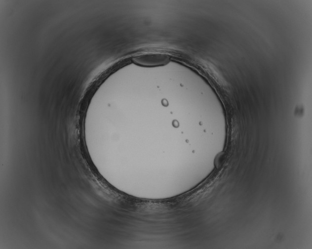 X0000089391164200707131713