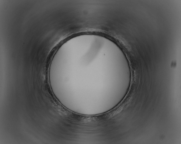 X0000089391165200707131713
