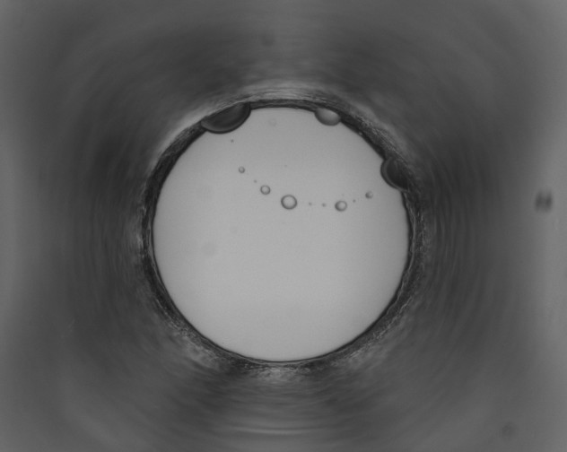X0000089391166200707131713