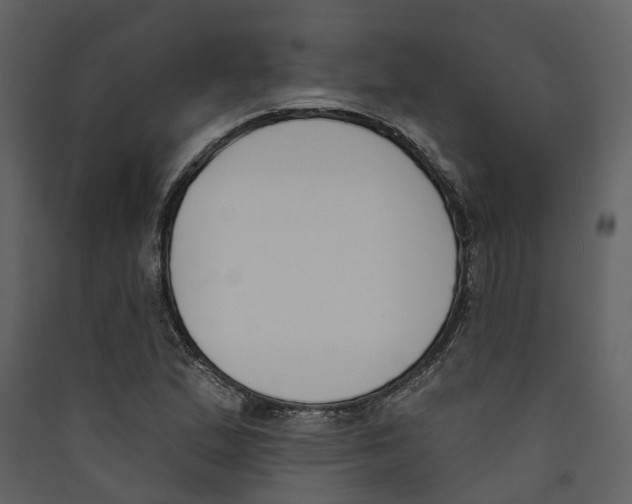 X0000089391167200707131713
