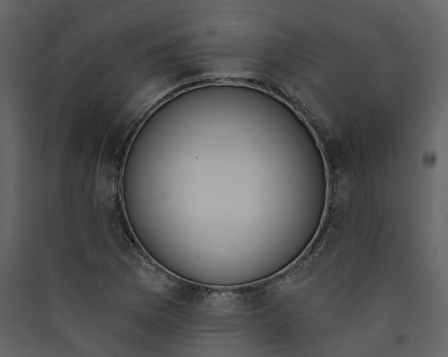 X0000089391169200707131713